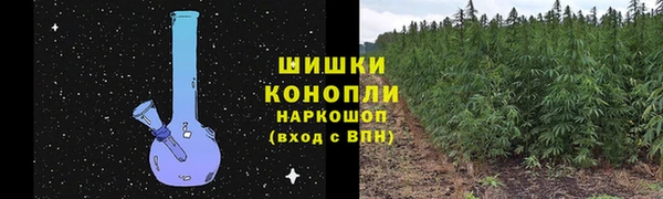 тгк Беломорск